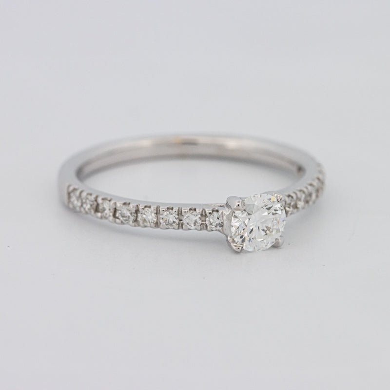 0.30 CT Round Solitaire Pavé Ring - ZIZOV DIAMONDS