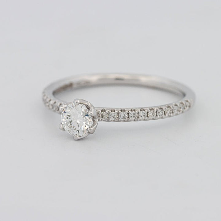 0.30 CT Round Solitaire Pavé Ring - ZIZOV DIAMONDS