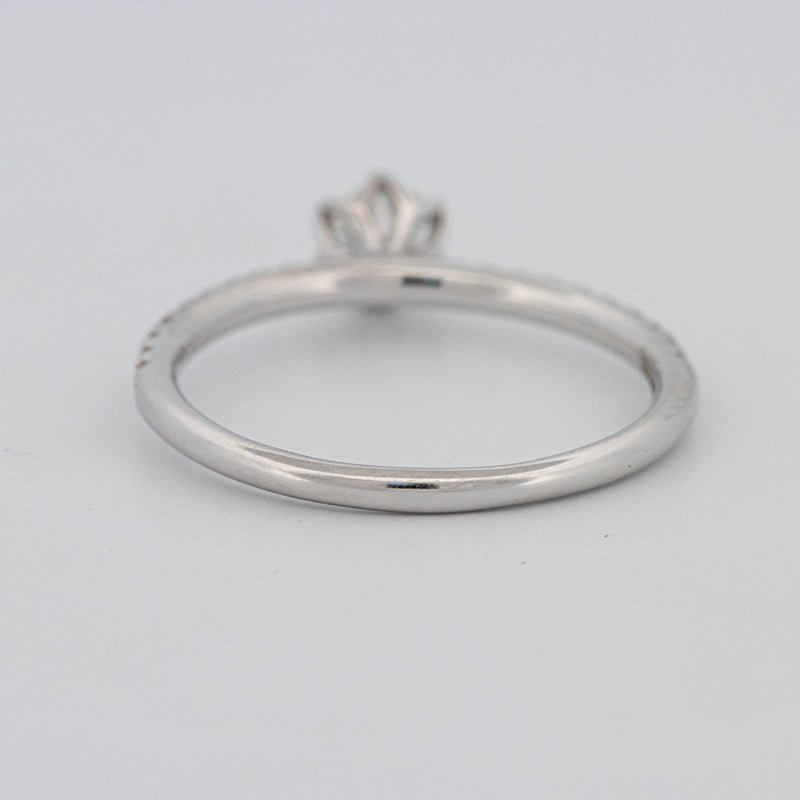 0.30 CT Round Solitaire Pavé Ring - ZIZOV DIAMONDS