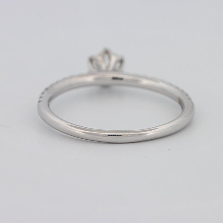 0.30 CT Round Solitaire Pavé Ring - ZIZOV DIAMONDS