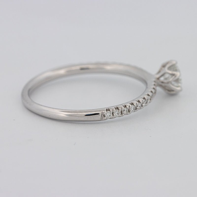 0.30 CT Round Solitaire Pavé Ring - ZIZOV DIAMONDS