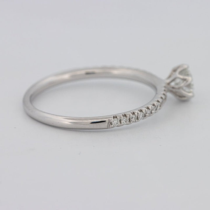 0.30 CT Round Solitaire Pavé Ring - ZIZOV DIAMONDS