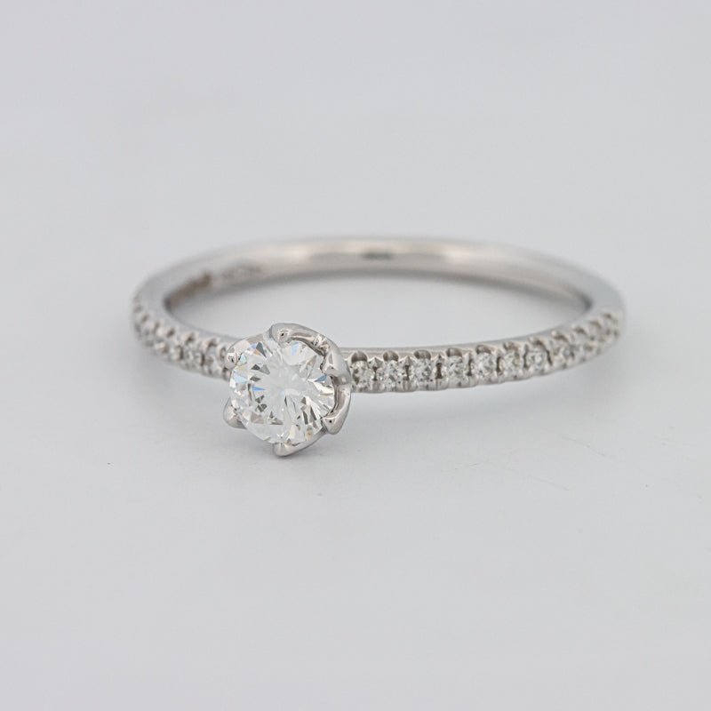 0.30 CT Round Solitaire Pavé Ring - ZIZOV DIAMONDS