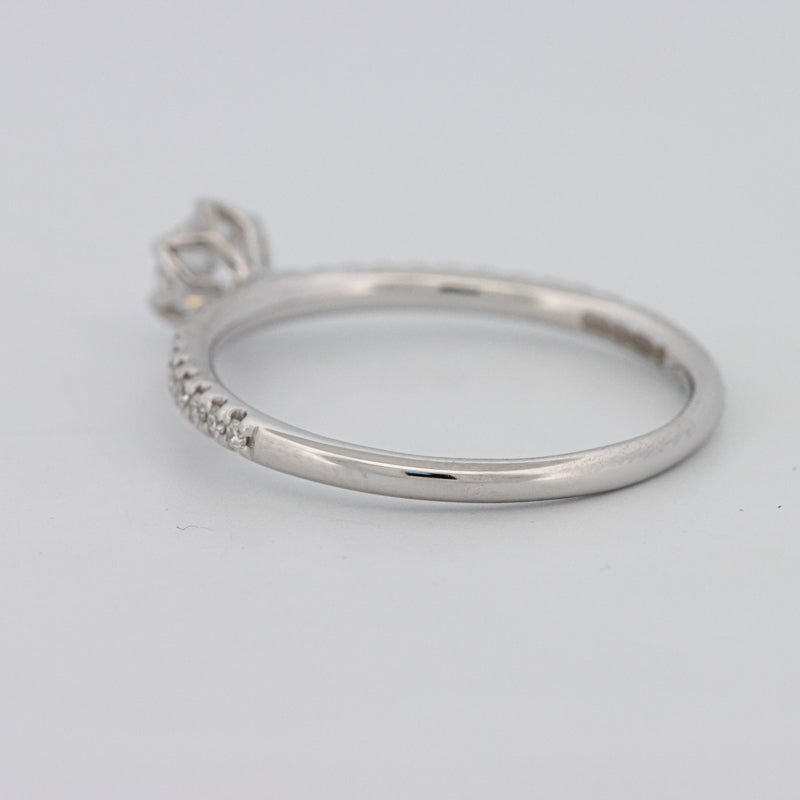 0.30 CT Round Solitaire Pavé Ring - ZIZOV DIAMONDS