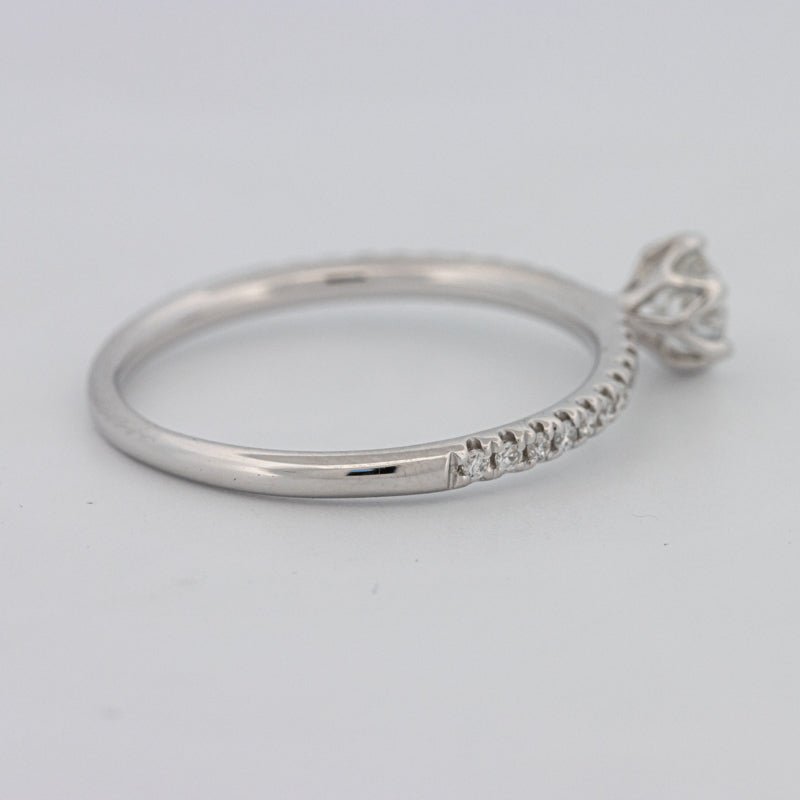 0.30 CT Round Solitaire Pavé Ring - ZIZOV DIAMONDS