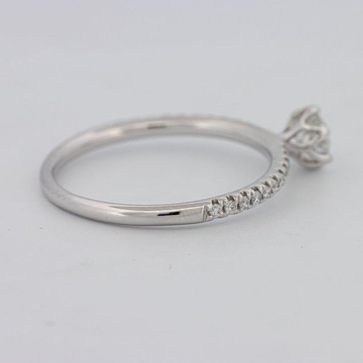 0.30 CT Round Solitaire Pavé Ring - ZIZOV DIAMONDS