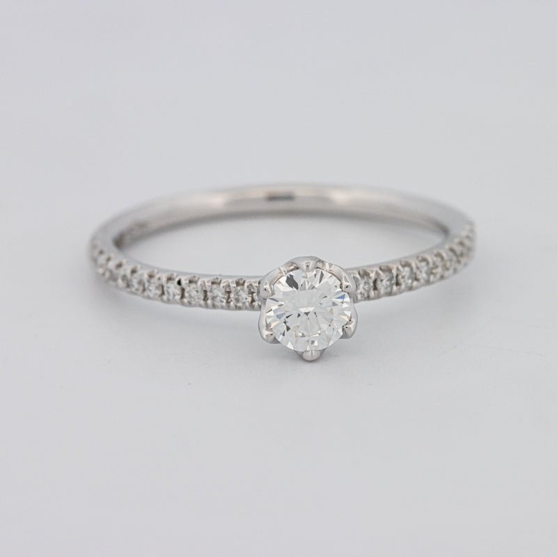 0.30 CT Round Solitaire Pavé Ring - ZIZOV DIAMONDS