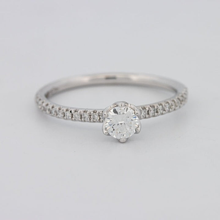 0.30 CT Round Solitaire Pavé Ring - ZIZOV DIAMONDS