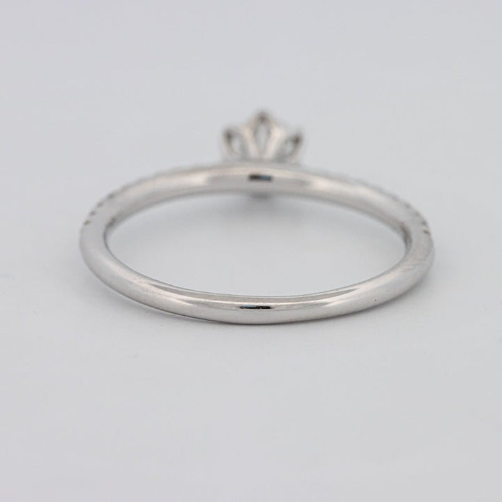 0.30 CT Round Solitaire Pavé Ring - ZIZOV DIAMONDS