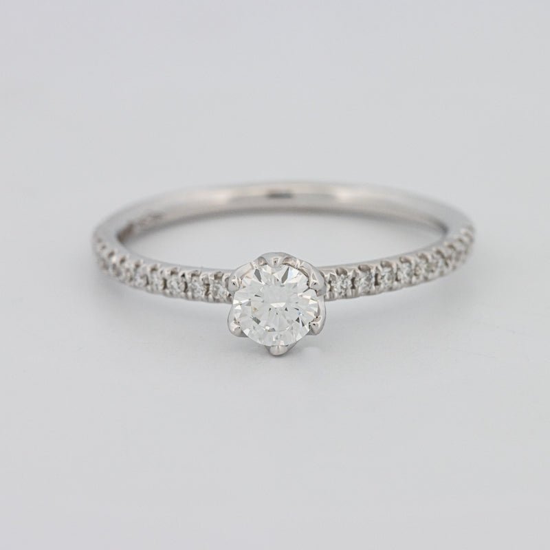 0.30 CT Round Solitaire Pavé Ring - ZIZOV DIAMONDS