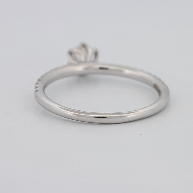 0.30 CT Round Solitaire Pavé Ring - ZIZOV DIAMONDS