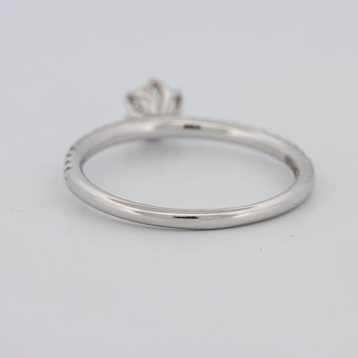 0.30 CT Round Solitaire Pavé Ring - ZIZOV DIAMONDS