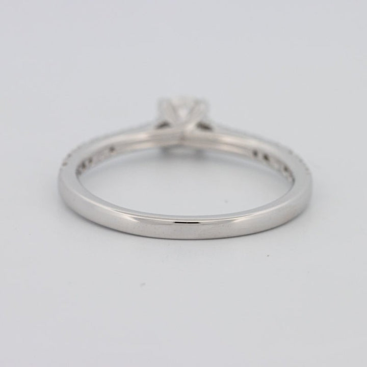 0.30 CT Round Solitaire Pavé Ring - ZIZOV DIAMONDS