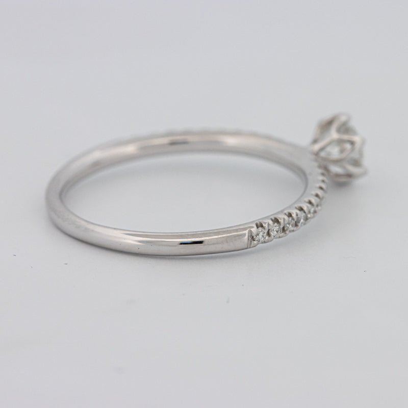 0.30 CT Round Solitaire Pavé Ring - ZIZOV DIAMONDS