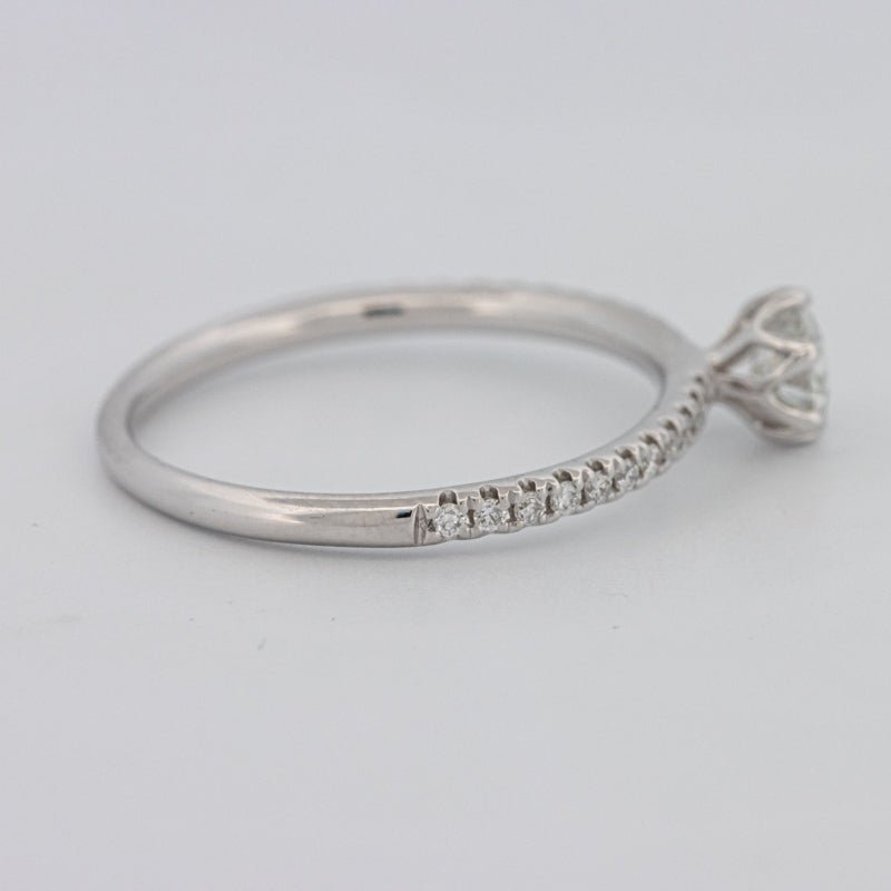 0.30 CT Round Solitaire Pavé Ring - ZIZOV DIAMONDS