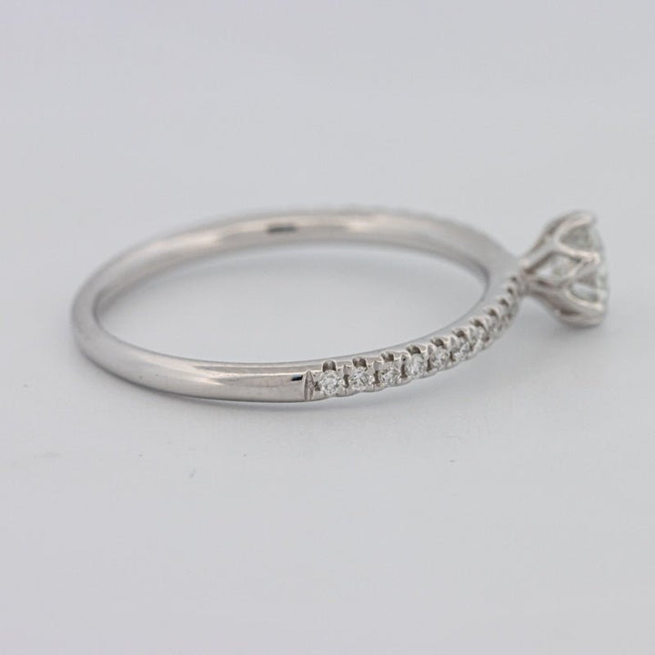 0.30 CT Round Solitaire Pavé Ring - ZIZOV DIAMONDS