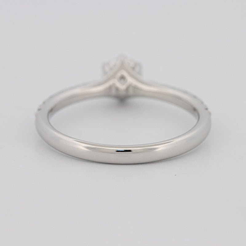 0.40 CT Round Solitaire Pavé Ring - ZIZOV DIAMONDS