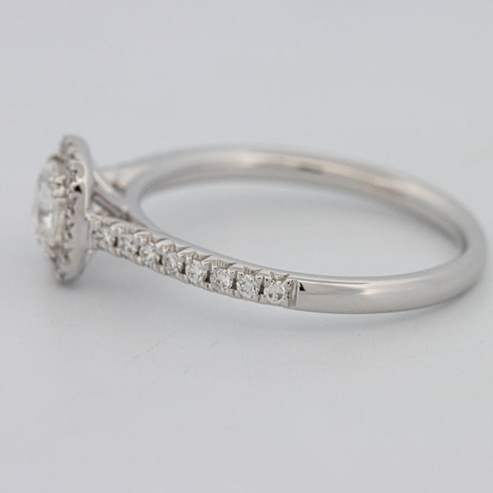 0.50 CT Cushion Cut Halo Solitaire - ZIZOV DIAMONDS