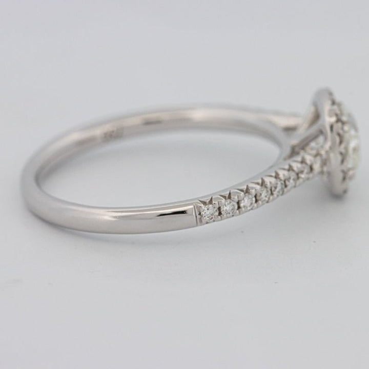 0.50 CT Cushion Cut Halo Solitaire - ZIZOV DIAMONDS