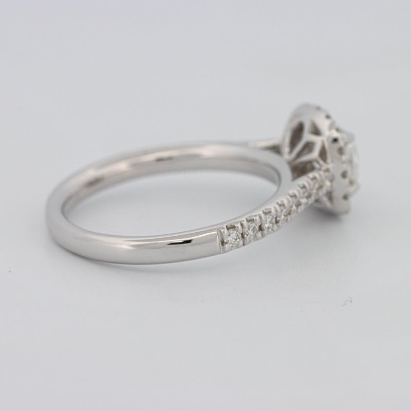 0.50 CT Cushion Cut Halo Solitaire - ZIZOV DIAMONDS