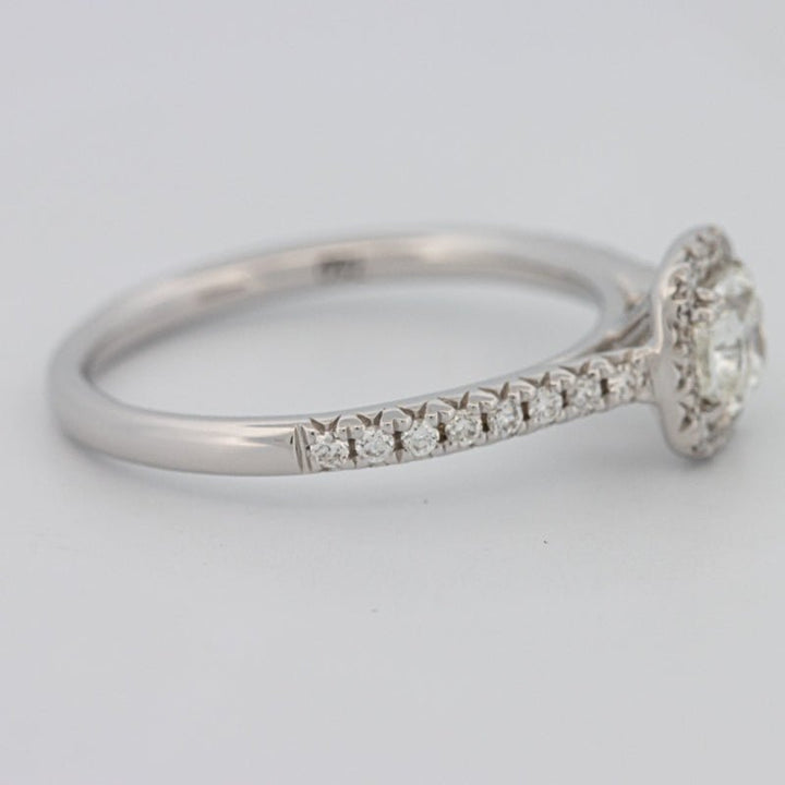 0.50 CT Cushion Cut Halo Solitaire - ZIZOV DIAMONDS