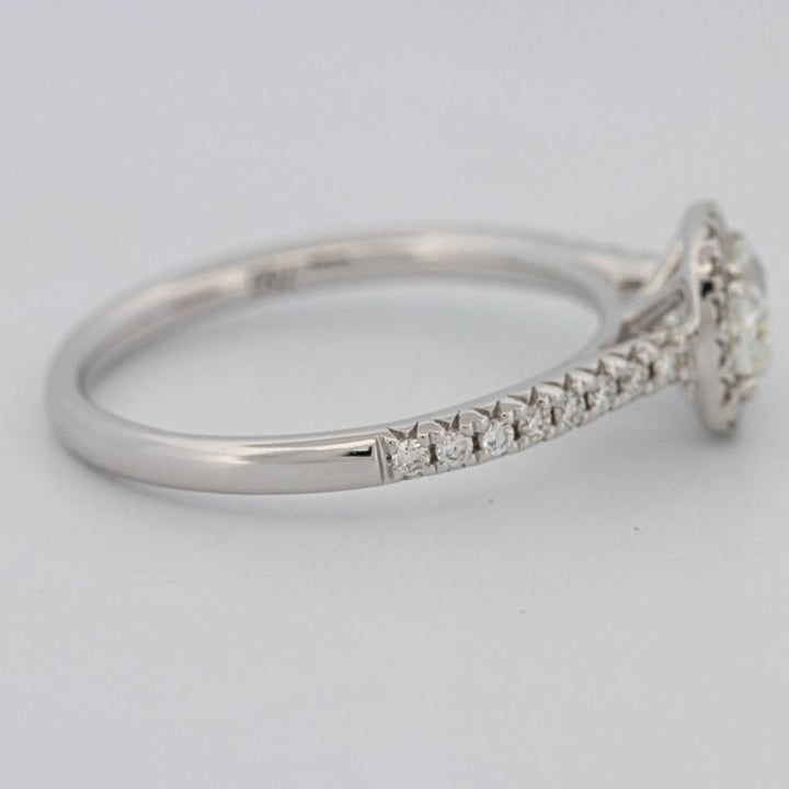 0.50 CT Cushion Cut Halo Solitaire - ZIZOV DIAMONDS