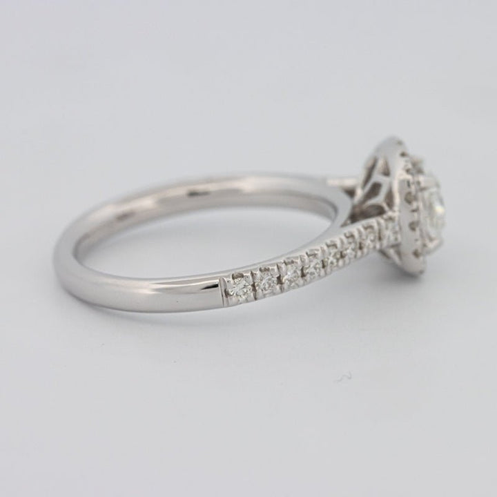 0.50 CT Cushion Cut Halo Solitaire - ZIZOV DIAMONDS