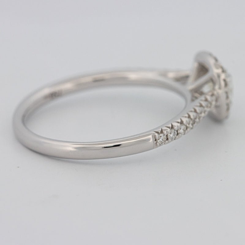 0.50 CT Cushion Cut Halo Solitaire - ZIZOV DIAMONDS