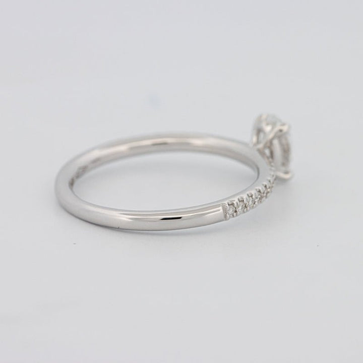 0.50 CT Oval Cut Solitaire Pavé Ring - ZIZOV DIAMONDS