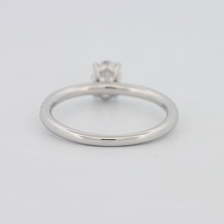 0.50 CT Oval Cut Solitaire Pavé Ring - ZIZOV DIAMONDS