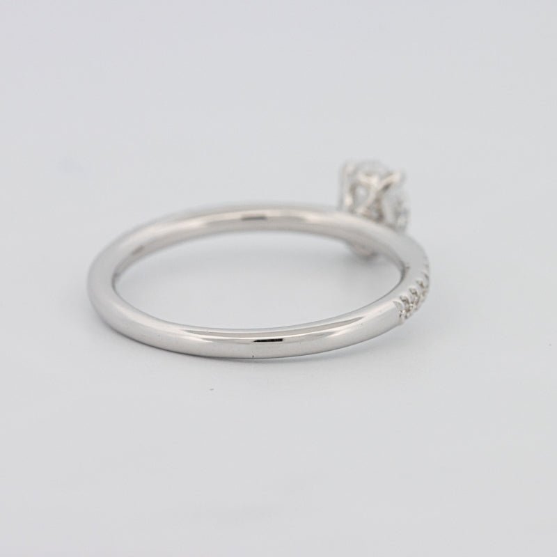 0.50 CT Oval Cut Solitaire Pavé Ring - ZIZOV DIAMONDS