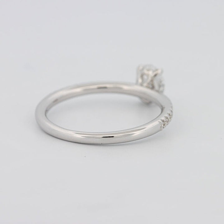 0.50 CT Oval Cut Solitaire Pavé Ring - ZIZOV DIAMONDS