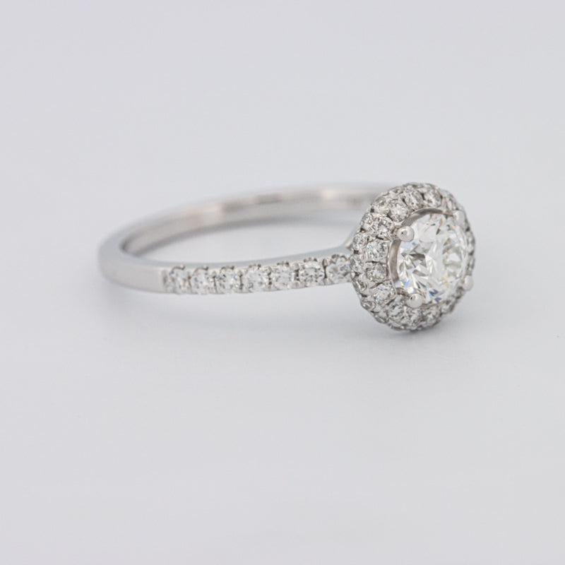 0.50 CT Round Halo Solitaire Pavé Ring - ZIZOV DIAMONDS