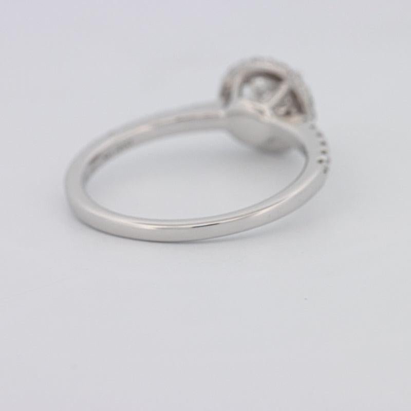 0.50 CT Round Halo Solitaire Pavé Ring - ZIZOV DIAMONDS
