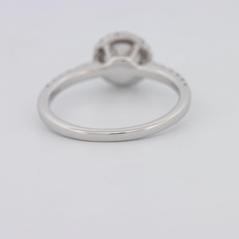 0.50 CT Round Halo Solitaire Pavé Ring - ZIZOV DIAMONDS
