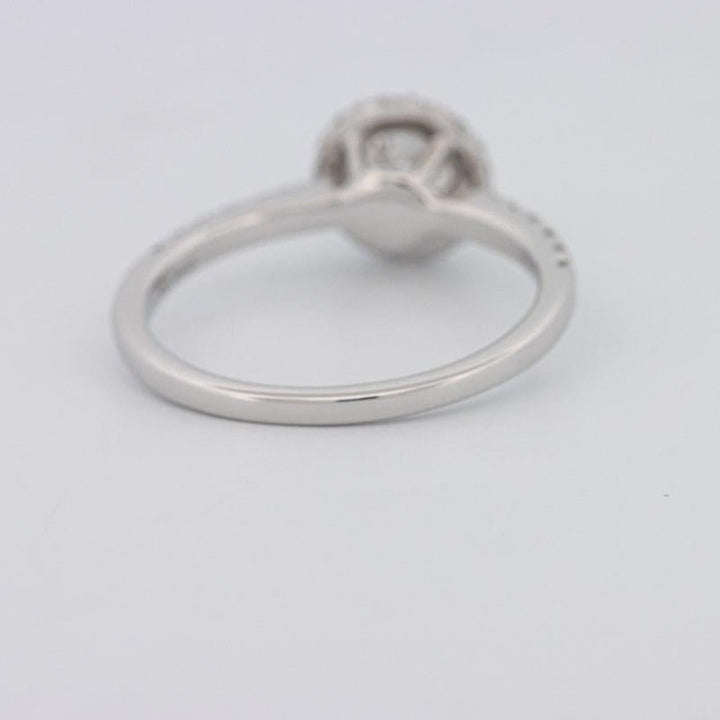 0.50 CT Round Halo Solitaire Pavé Ring - ZIZOV DIAMONDS
