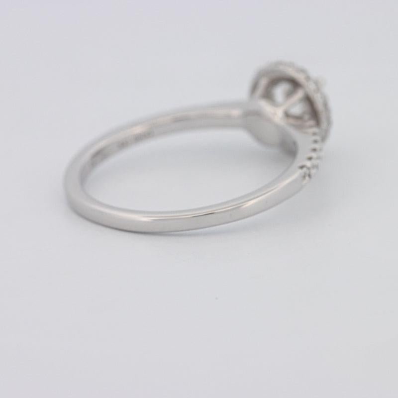 0.50 CT Round Halo Solitaire Pavé Ring - ZIZOV DIAMONDS