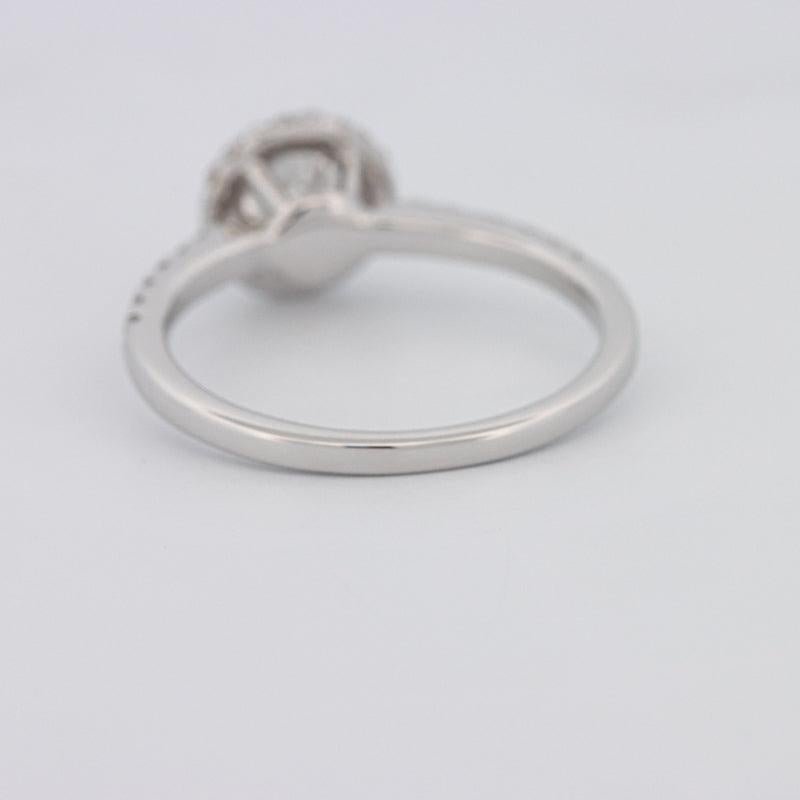 0.50 CT Round Halo Solitaire Pavé Ring - ZIZOV DIAMONDS