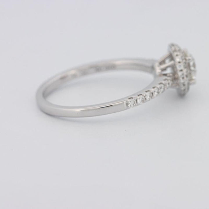 0.50 CT Round Halo Solitaire Pavé Ring - ZIZOV DIAMONDS