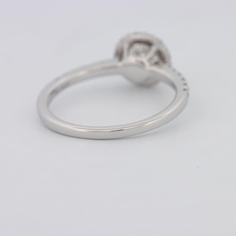 0.50 CT Round Halo Solitaire Pavé Ring - ZIZOV DIAMONDS