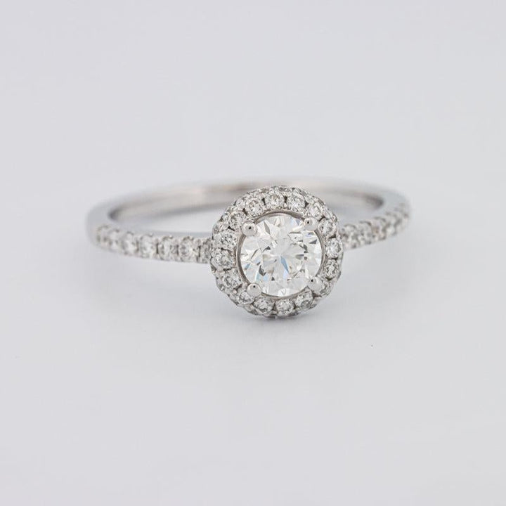 0.50 CT Round Halo Solitaire Pavé Ring - ZIZOV DIAMONDS