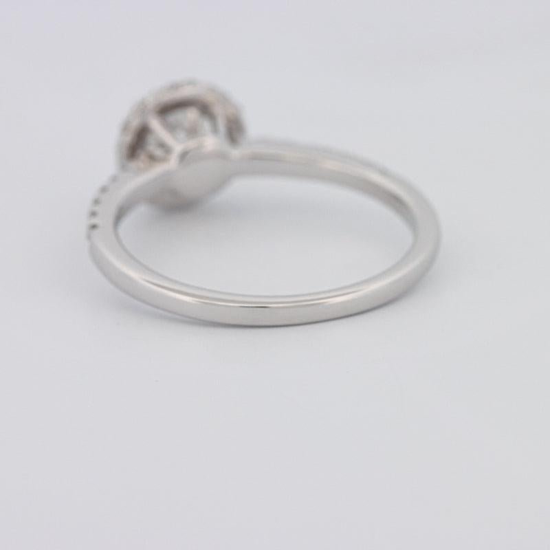 0.50 CT Round Halo Solitaire Pavé Ring - ZIZOV DIAMONDS