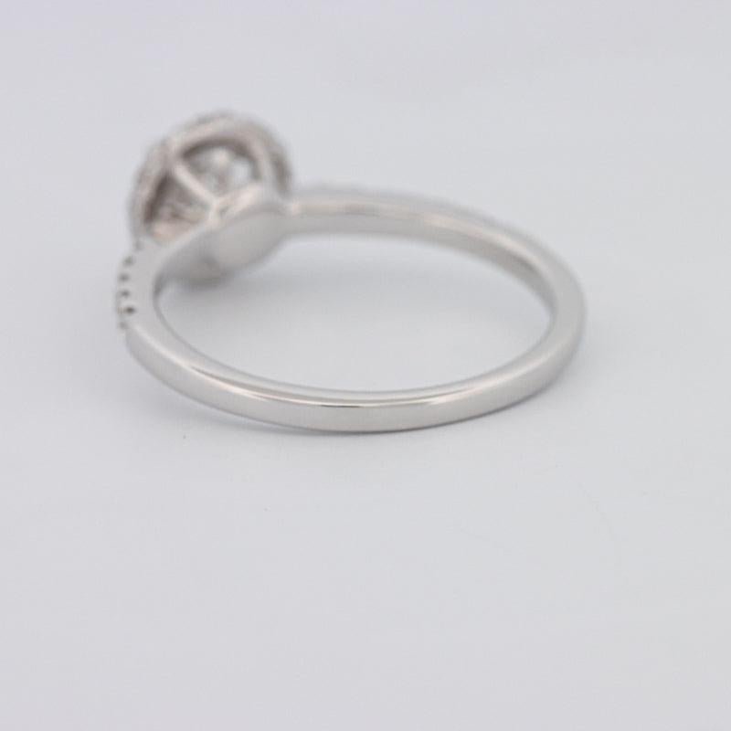 0.50 CT Round Halo Solitaire Pavé Ring - ZIZOV DIAMONDS