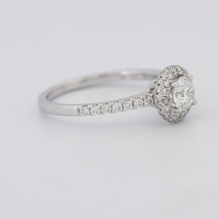 0.50 CT Round Halo Solitaire Pavé Ring - ZIZOV DIAMONDS