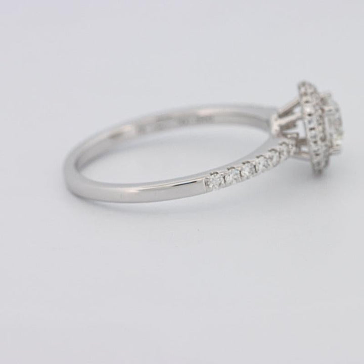 0.50 CT Round Halo Solitaire Pavé Ring - ZIZOV DIAMONDS