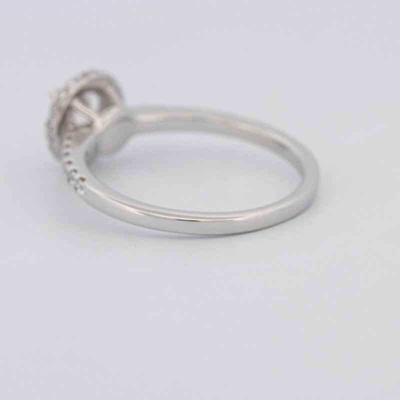 0.50 CT Round Halo Solitaire Pavé Ring - ZIZOV DIAMONDS