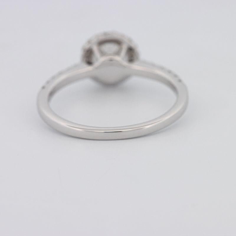 0.50 CT Round Halo Solitaire Pavé Ring - ZIZOV DIAMONDS