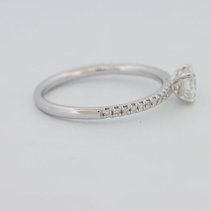 0.50 CT Round Solitaire Pavé Ring - ZIZOV DIAMONDS