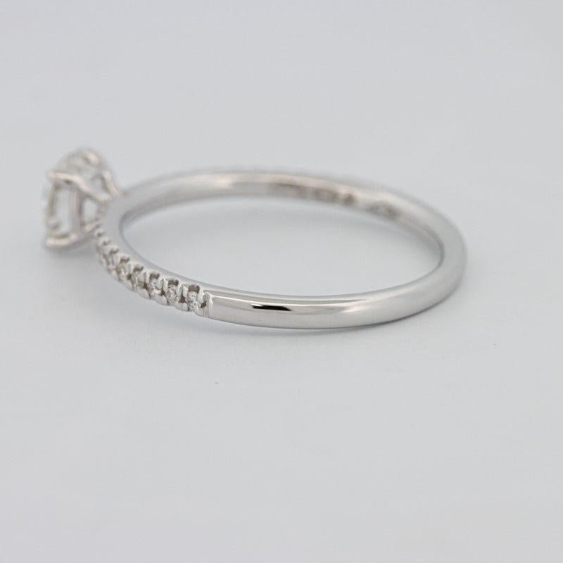 0.50 CT Round Solitaire Pavé Ring - ZIZOV DIAMONDS