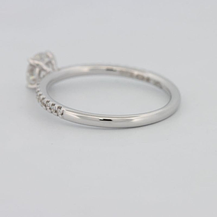 0.50 CT Round Solitaire Pavé Ring - ZIZOV DIAMONDS